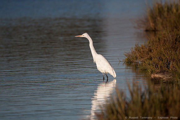 San Pablo Bay Area