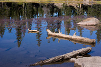 Watson Lake