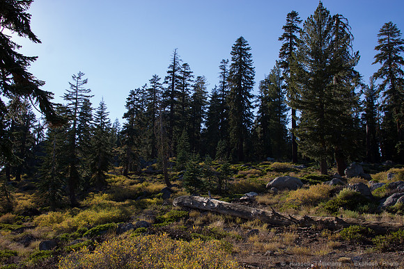 Mount Watson