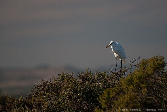 San Pablo Bay Area