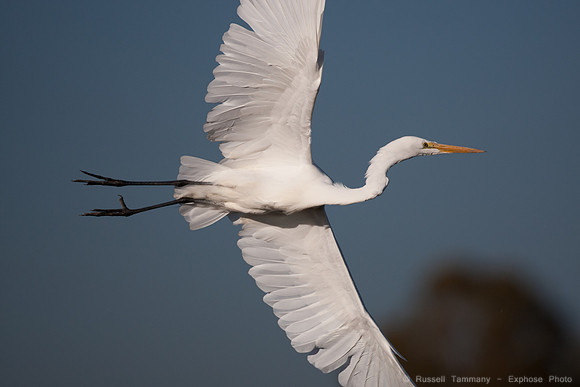 San Pablo Bay Area