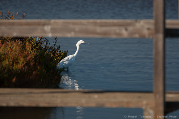 San Pablo Bay Area