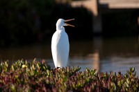 San Pablo Bay Area