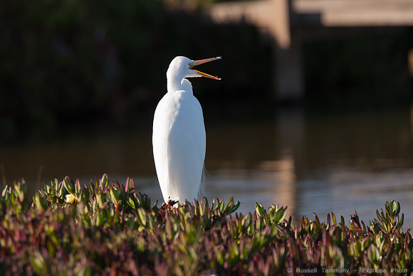 San Pablo Bay Area