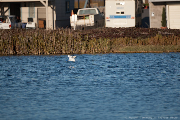 San Pablo Bay Area
