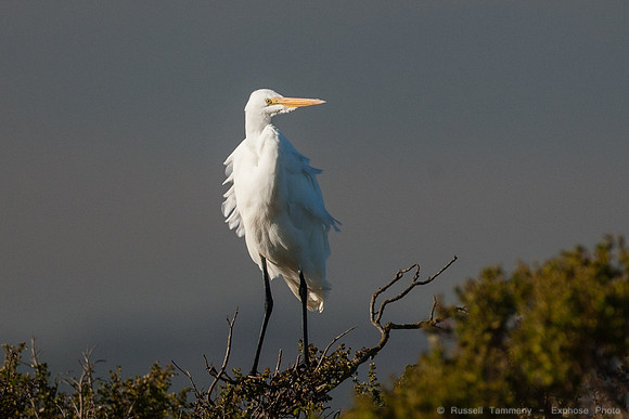 San Pablo Bay Area