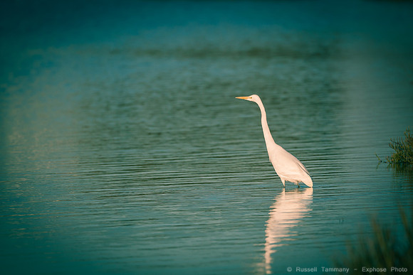 San Pablo Bay Area