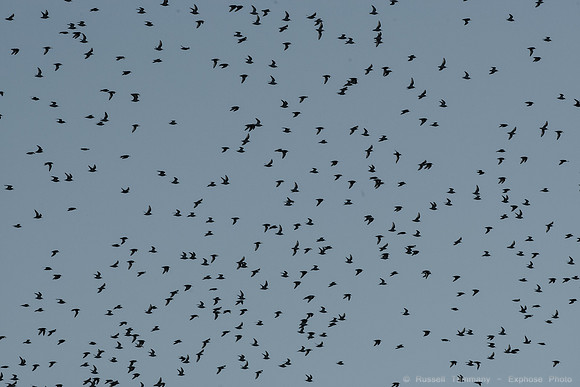 San Pablo Bay Area