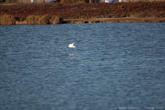 San Pablo Bay Area