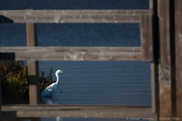 San Pablo Bay Area