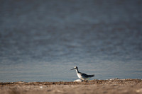 San Pablo Bay Area
