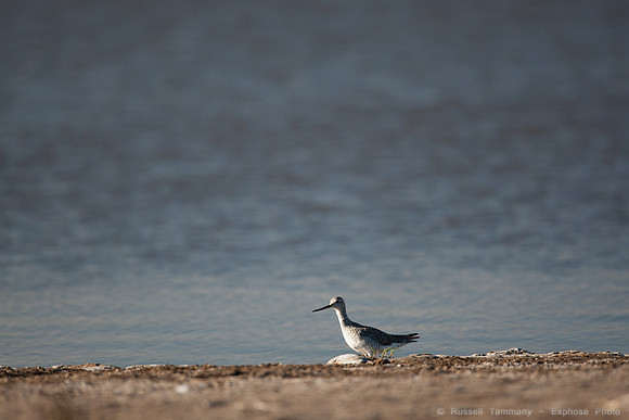 San Pablo Bay Area