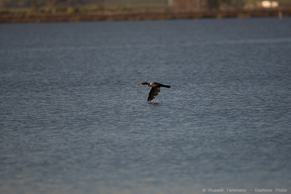 San Pablo Bay Area