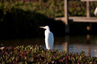 San Pablo Bay Area
