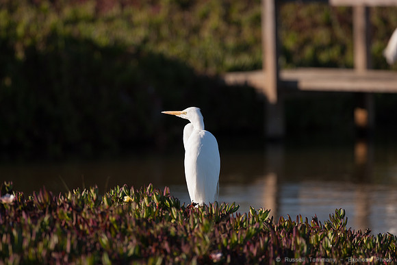 San Pablo Bay Area