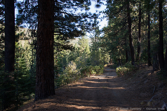 Henness Pass Rd and Trails Verdi to 89