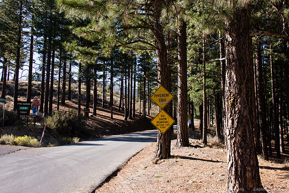 Henness Pass Rd and Trails Verdi to 89