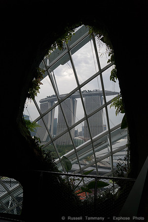 DSC06532
