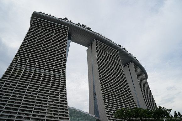 DSC06406