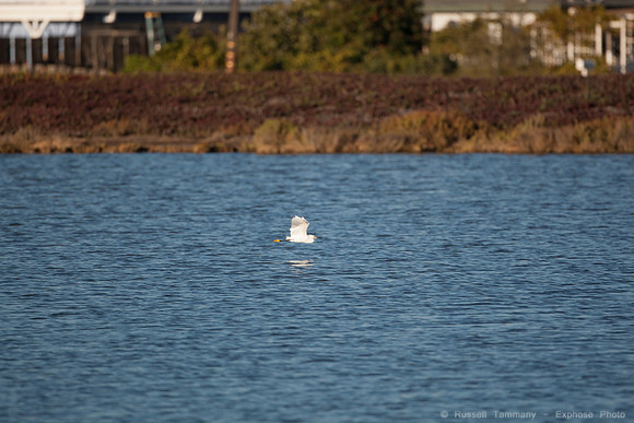 San Pablo Bay Area
