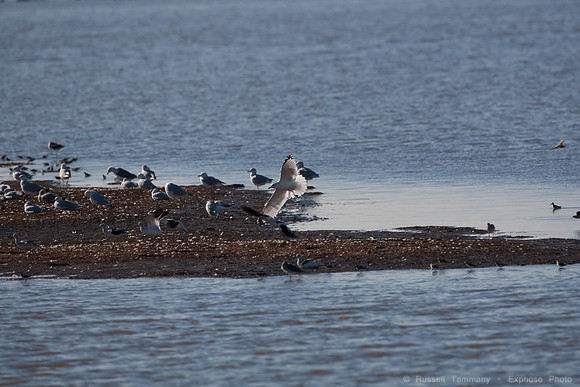 San Pablo Bay Area