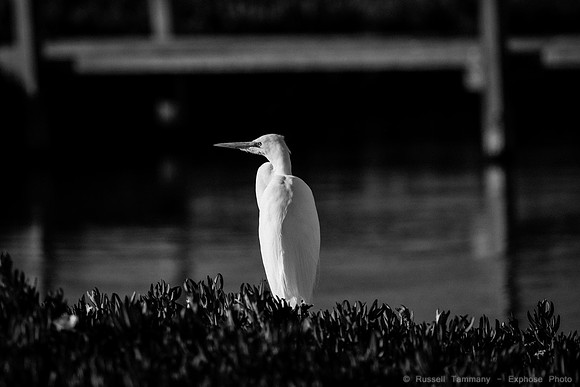 San Pablo Bay Area