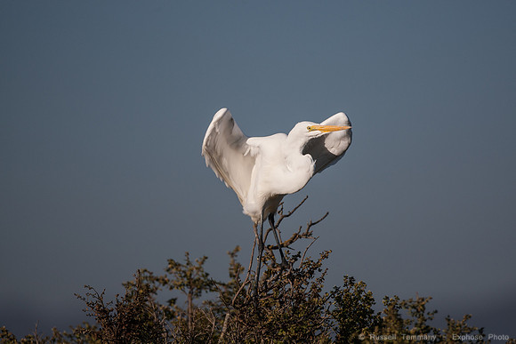 San Pablo Bay Area