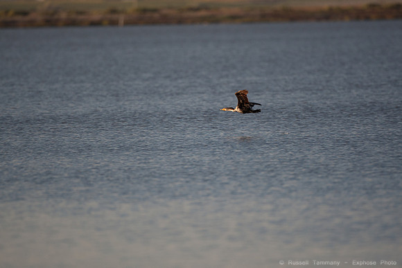 San Pablo Bay Area