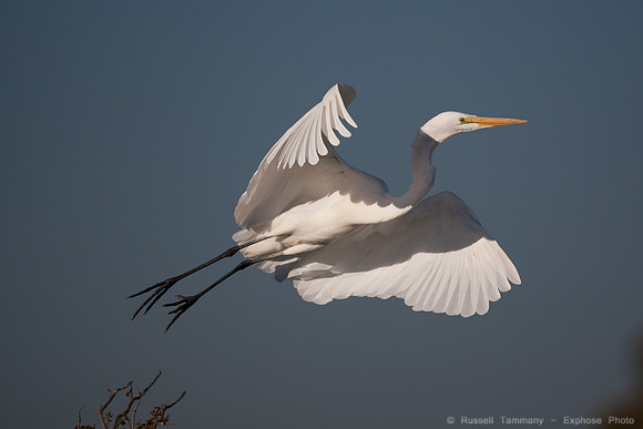 San Pablo Bay Area