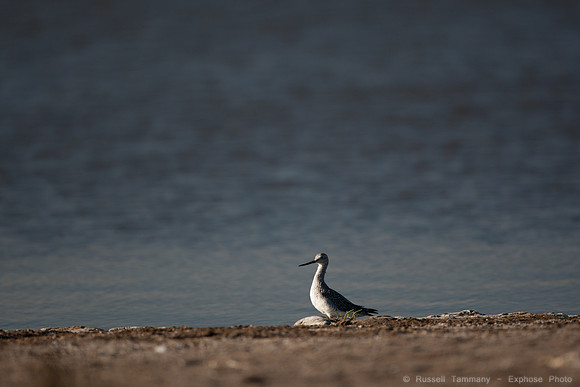 San Pablo Bay Area