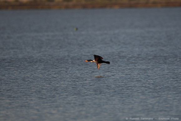 San Pablo Bay Area
