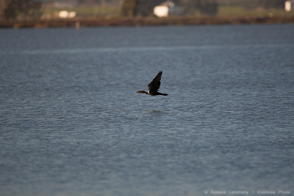 San Pablo Bay Area