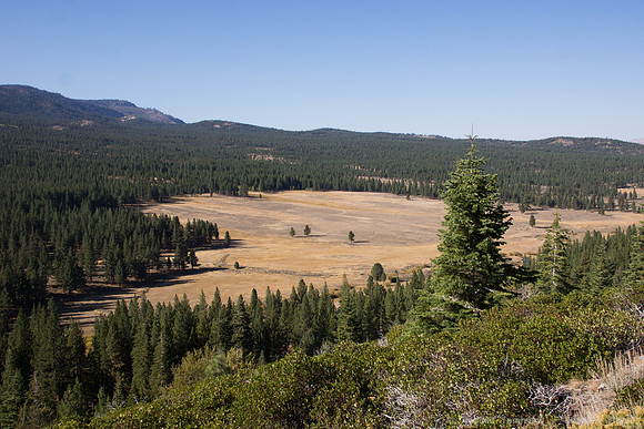 Henness Pass Rd and Trails Verdi to 89