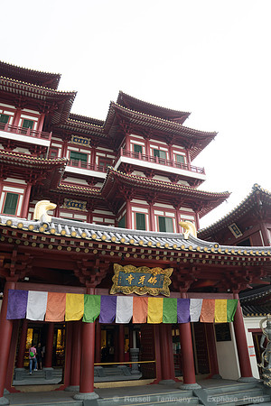 DSC06316