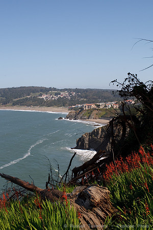 Lands End & Sutro District