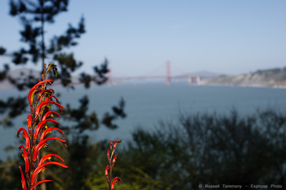Lands End & Sutro District