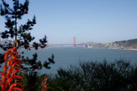 Lands End & Sutro District