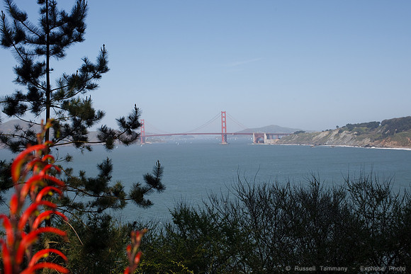 Lands End & Sutro District