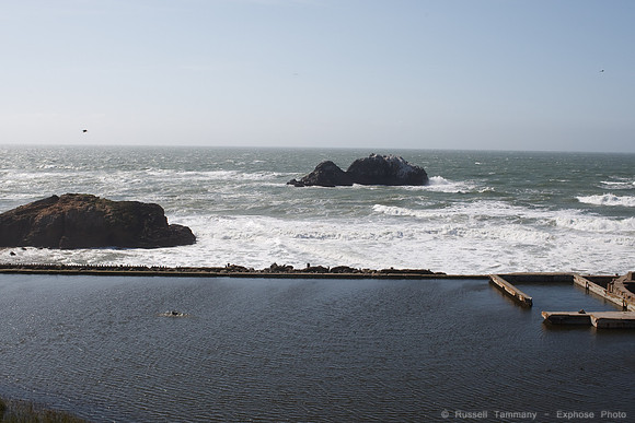 Lands End & Sutro District