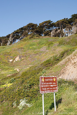 Lands End & Sutro District