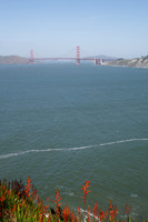 Lands End & Sutro District