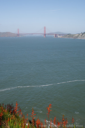 Lands End & Sutro District