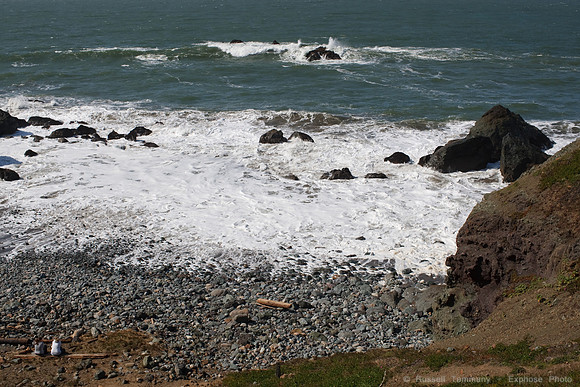 Lands End & Sutro District