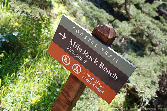 Lands End & Sutro District