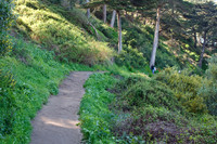 Lands End & Sutro District