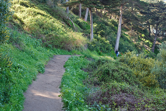 Lands End & Sutro District