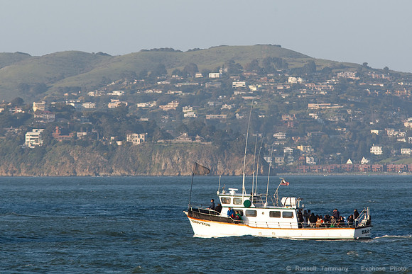 SF and the Bridge