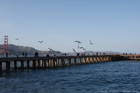 Fort Point and Crissy Field