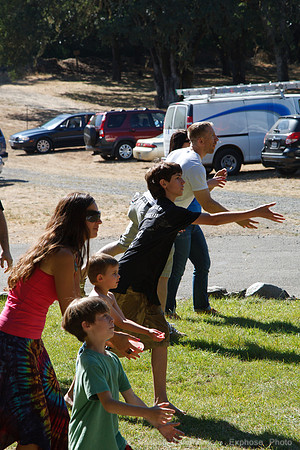 1D3_1130