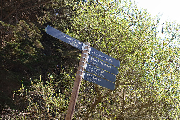 Lands End & Sutro District